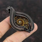 Ammonite Fossil Jewelry Copper Wire Wrapped Pendant 2.36" – Natural Fossil Gift for Bridesmaid